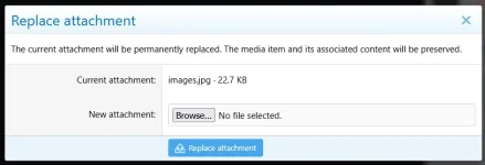 pub_replace_form.webp